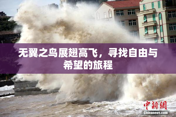 无翼之鸟展翅高飞，寻找自由与希望的旅程