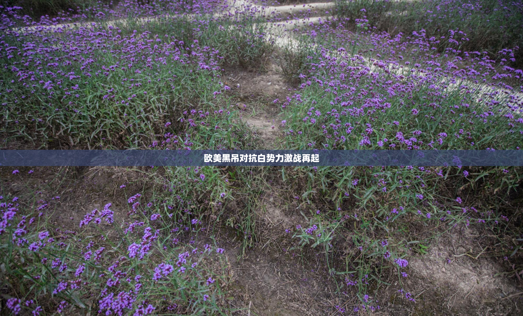 欧美黑吊对抗白势力激战再起