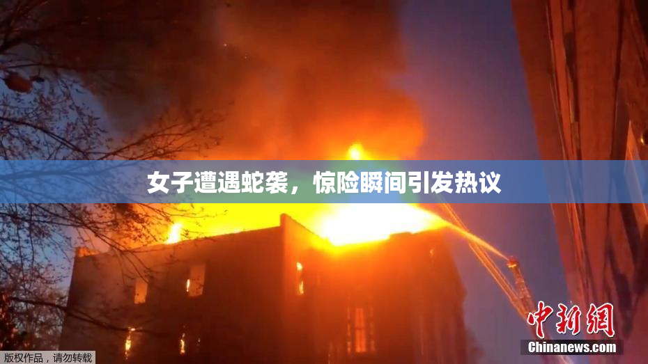 女子遭遇蛇袭，惊险瞬间引发热议