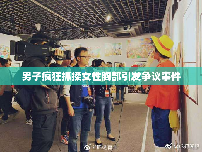 男子疯狂抓揉女性胸部引发争议事件