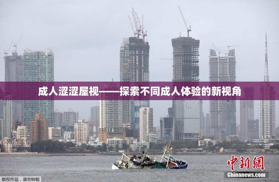成人涩涩屋视——探索不同成人体验的新视角