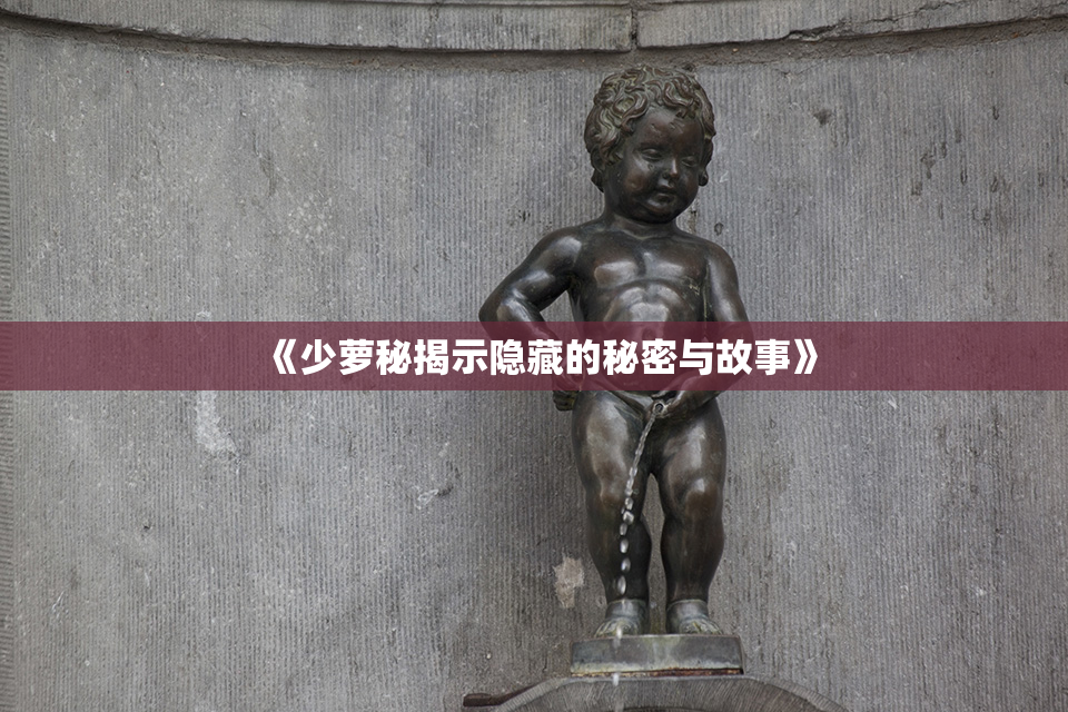 《少萝秘揭示隐藏的秘密与故事》