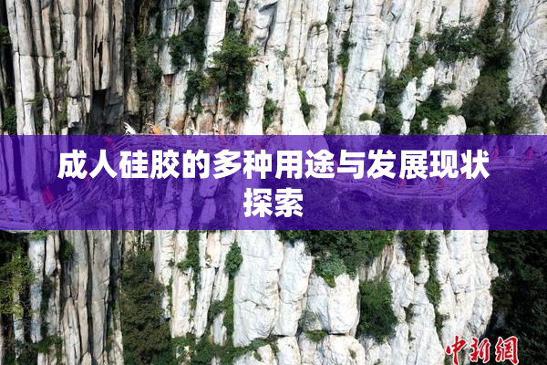 成人硅胶的多种用途与发展现状探索