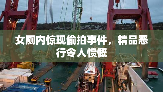女厕内惊现偷拍事件，精品恶行令人愤慨