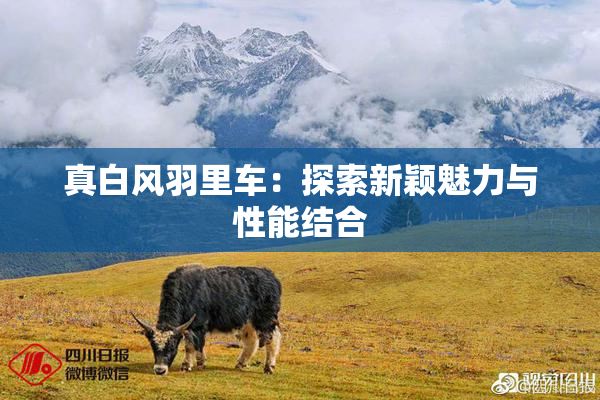 真白风羽里车：探索新颖魅力与性能结合