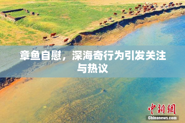 章鱼自慰，深海奇行为引发关注与热议