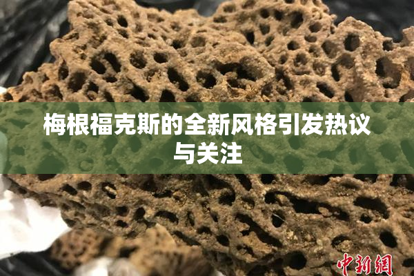 梅根福克斯的全新风格引发热议与关注
