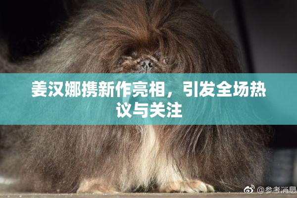 姜汉娜携新作亮相，引发全场热议与关注