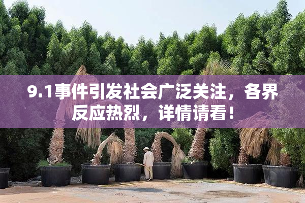 9.1事件引发社会广泛关注，各界反应热烈，详情请看！