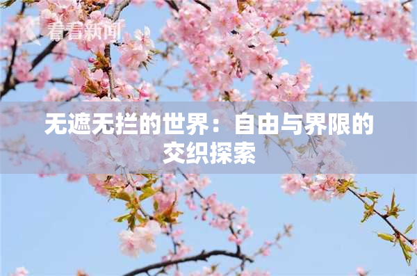 无遮无拦的世界：自由与界限的交织探索