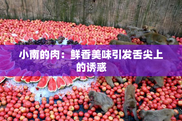 小南的肉：鲜香美味引发舌尖上的诱惑