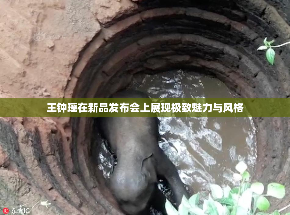 王钟瑶在新品发布会上展现极致魅力与风格