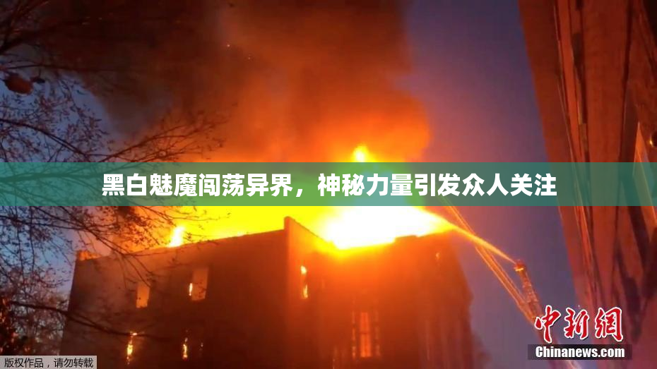 黑白魅魔闯荡异界，神秘力量引发众人关注