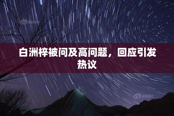 白洲梓被问及高问题，回应引发热议