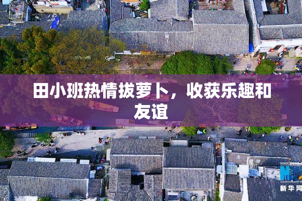 田小班热情拔萝卜，收获乐趣和友谊