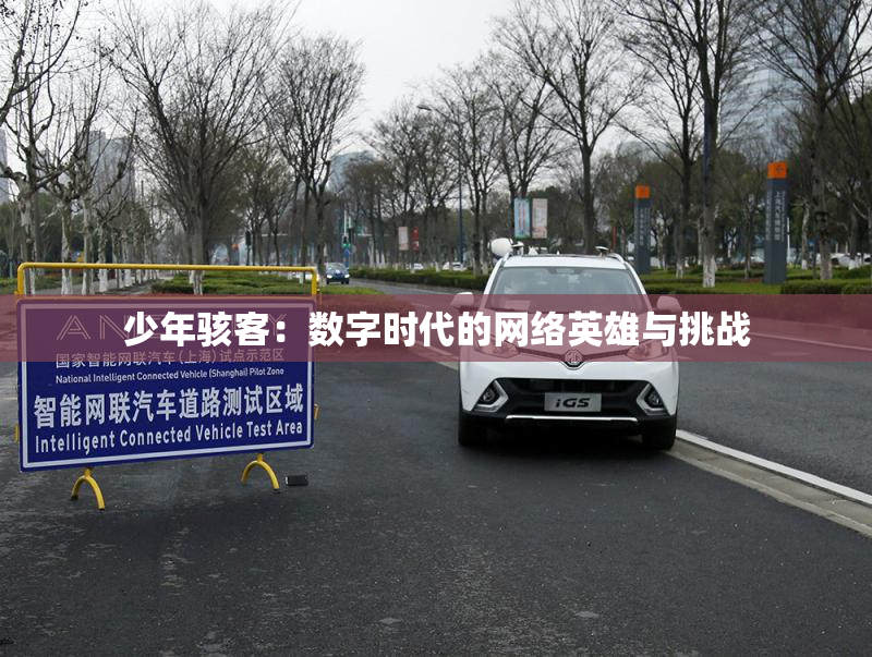 少年骇客：数字时代的网络英雄与挑战