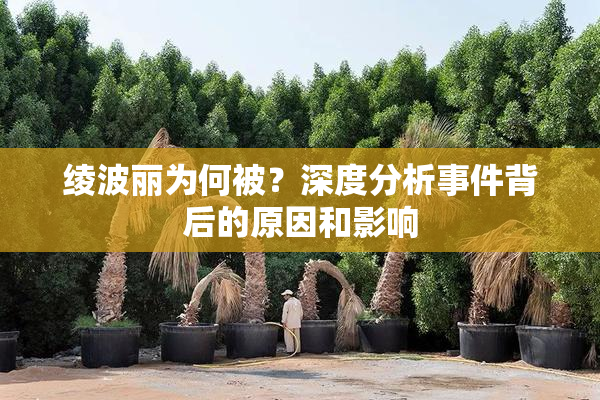 绫波丽为何被？深度分析事件背后的原因和影响