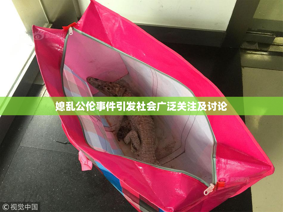 媳乱公伦事件引发社会广泛关注及讨论