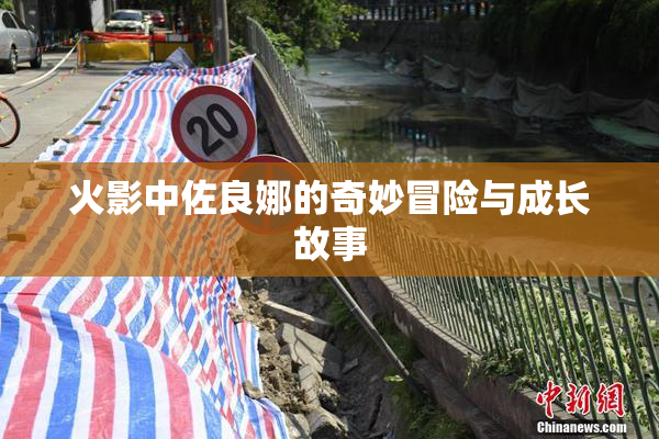 火影中佐良娜的奇妙冒险与成长故事