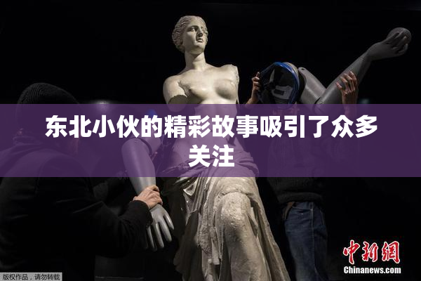 东北小伙的精彩故事吸引了众多关注