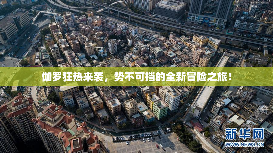 伽罗狂热来袭，势不可挡的全新冒险之旅！