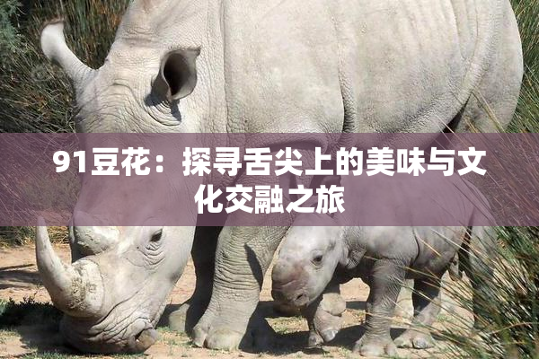 91豆花：探寻舌尖上的美味与文化交融之旅