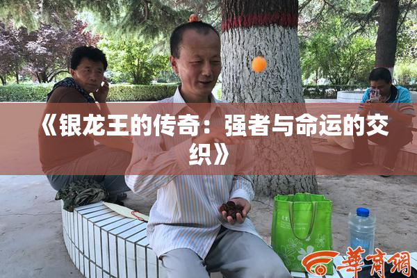 《银龙王的传奇：强者与命运的交织》