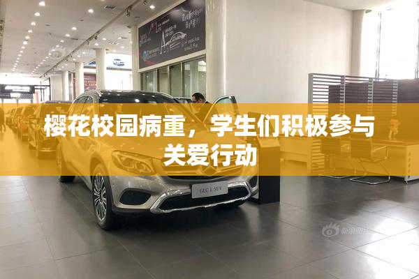 樱花校园病重，学生们积极参与关爱行动