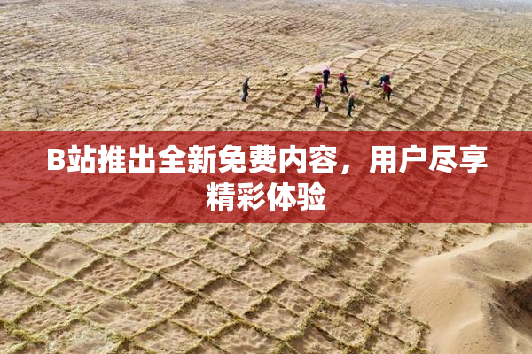 B站推出全新免费内容，用户尽享精彩体验