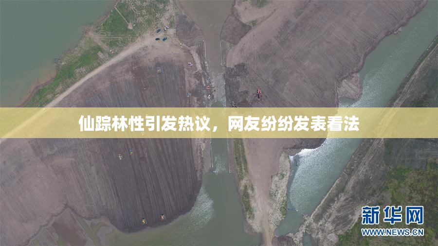 仙踪林性引发热议，网友纷纷发表看法