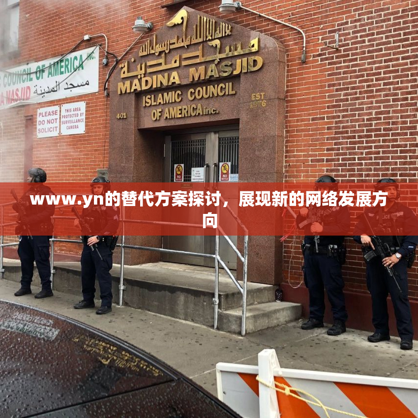 www.yn的替代方案探讨，展现新的网络发展方向