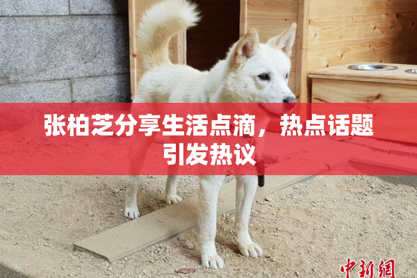 张柏芝分享生活点滴，热点话题引发热议