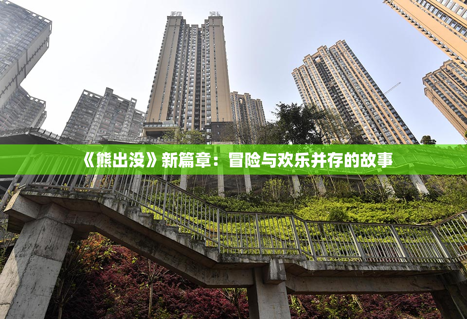 《熊出没》新篇章：冒险与欢乐并存的故事