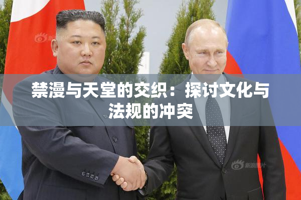禁漫与天堂的交织：探讨文化与法规的冲突