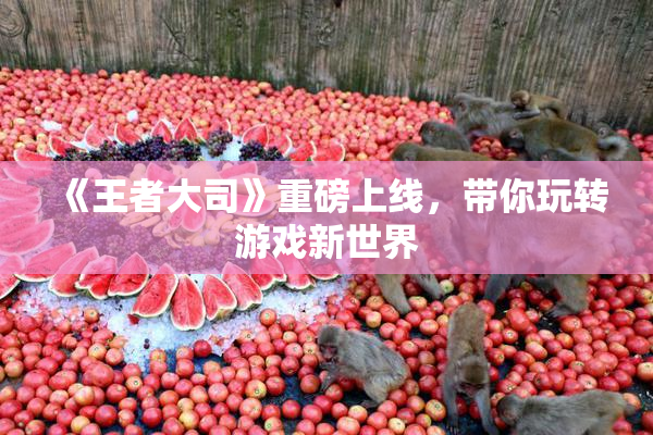 《王者大司》重磅上线，带你玩转游戏新世界