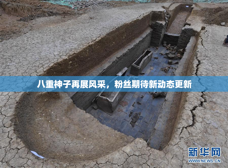 八重神子再展风采，粉丝期待新动态更新