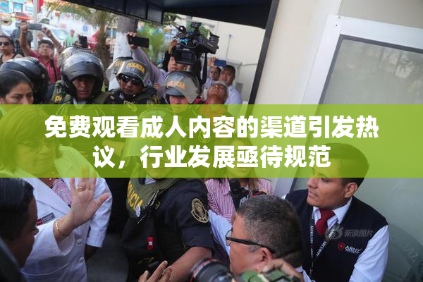 免费观看成人内容的渠道引发热议，行业发展亟待规范