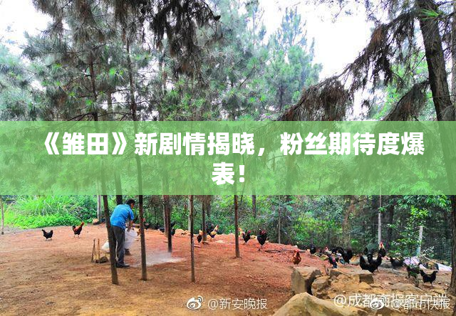 《雏田》新剧情揭晓，粉丝期待度爆表！
