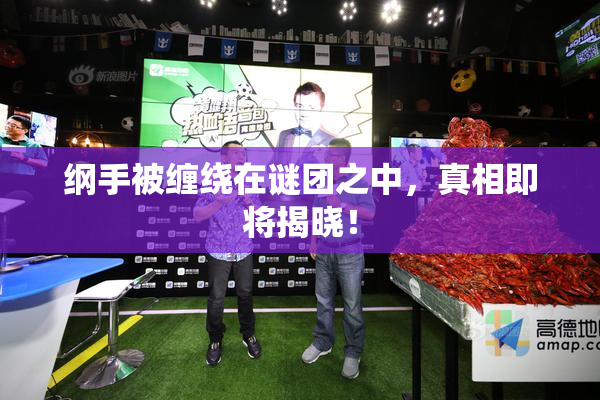 纲手被缠绕在谜团之中，真相即将揭晓！