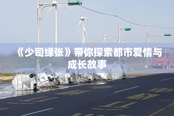 《少司缘张》带你探索都市爱情与成长故事