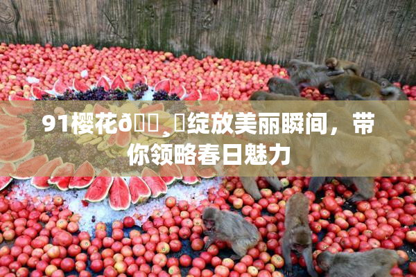 91樱花🌸‌绽放美丽瞬间，带你领略春日魅力
