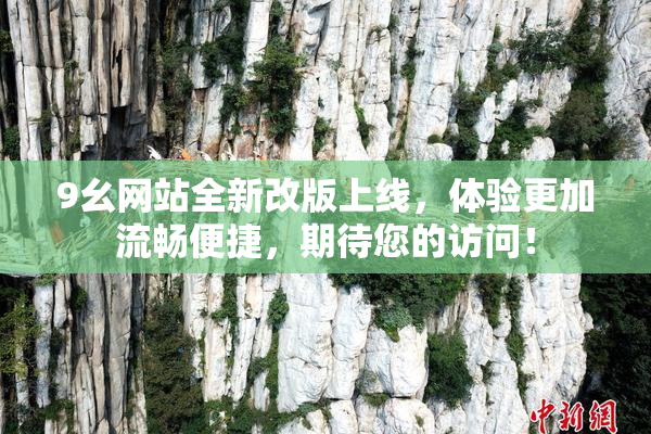 9幺网站全新改版上线，体验更加流畅便捷，期待您的访问！