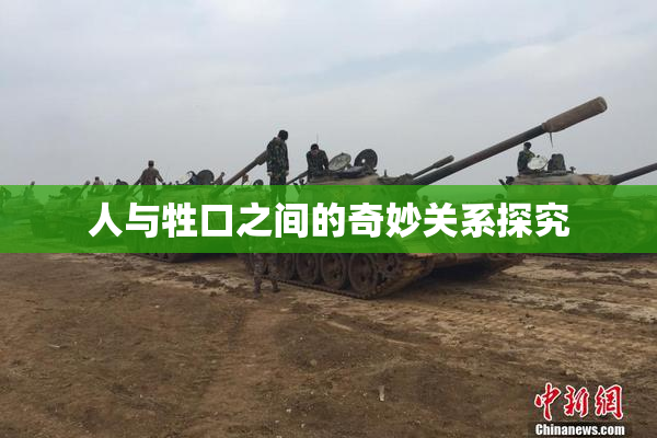 人与牲口之间的奇妙关系探究