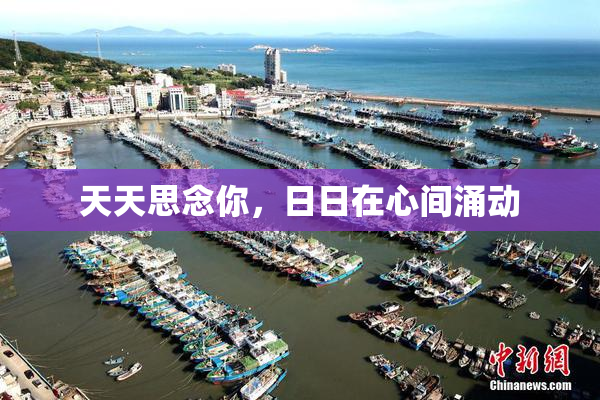 天天思念你，日日在心间涌动