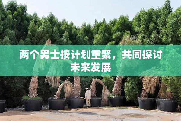 两个男士按计划重聚，共同探讨未来发展