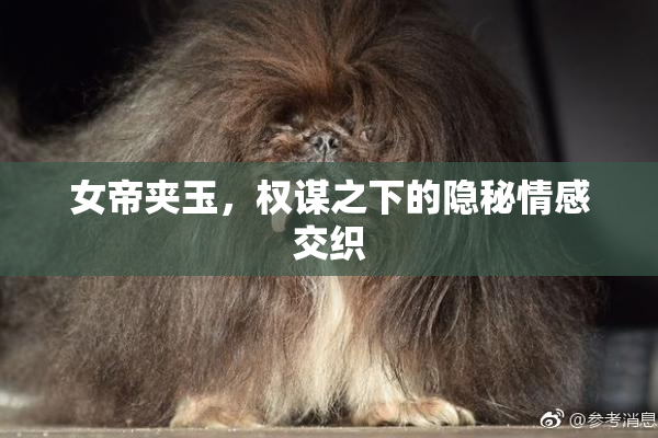 女帝夹玉，权谋之下的隐秘情感交织