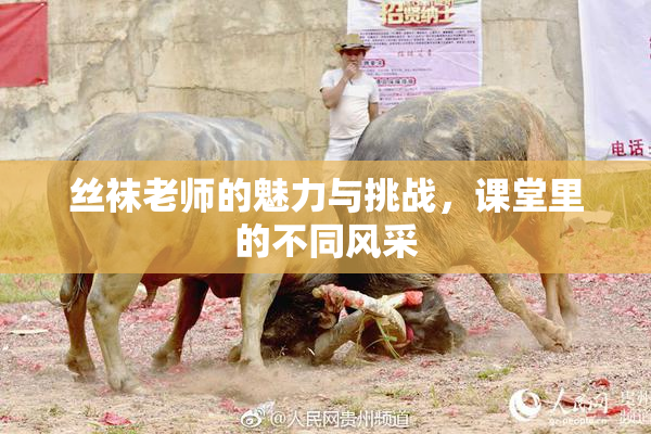 丝袜老师的魅力与挑战，课堂里的不同风采