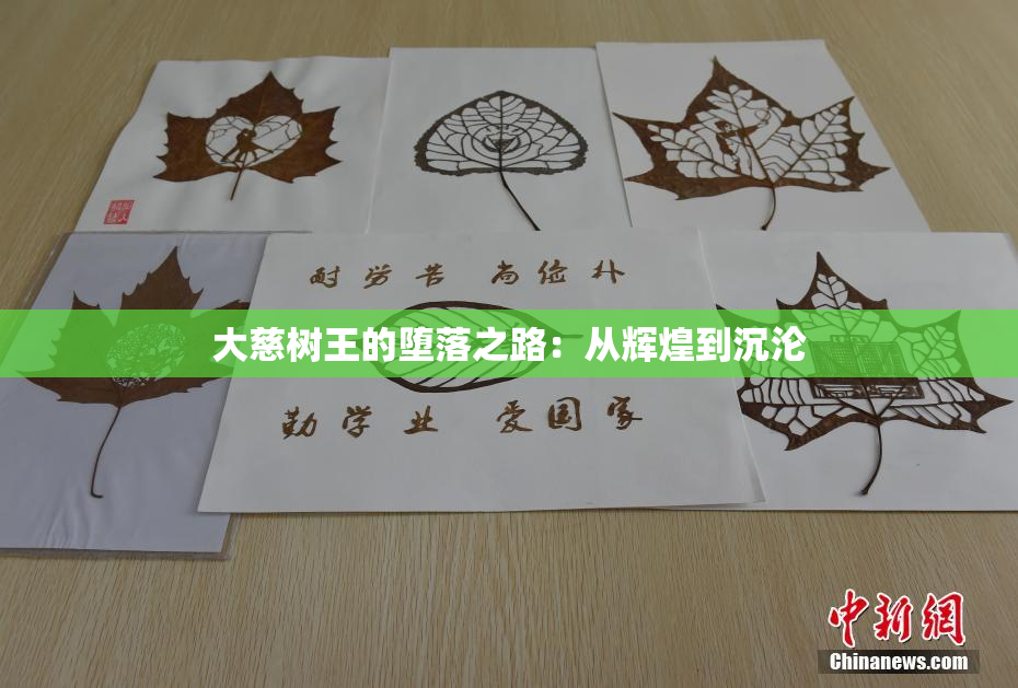 大慈树王的堕落之路：从辉煌到沉沦