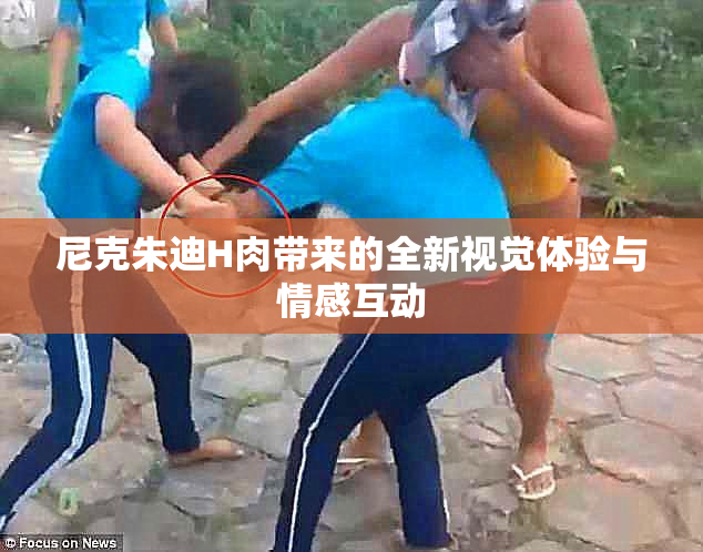 尼克朱迪H肉带来的全新视觉体验与情感互动