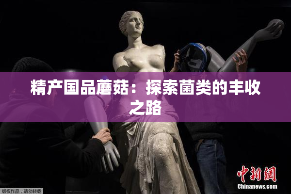 精产国品蘑菇：探索菌类的丰收之路